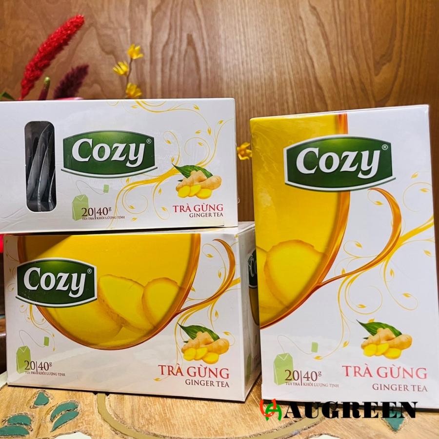 ベトナム産生姜茶 Cozy ティーバッグ20袋入 健康 ジンジャーティー 温活 生姜湯 冷え改善 ダイエット 無糖 茶 紅茶 GINGER TEA |  | 05