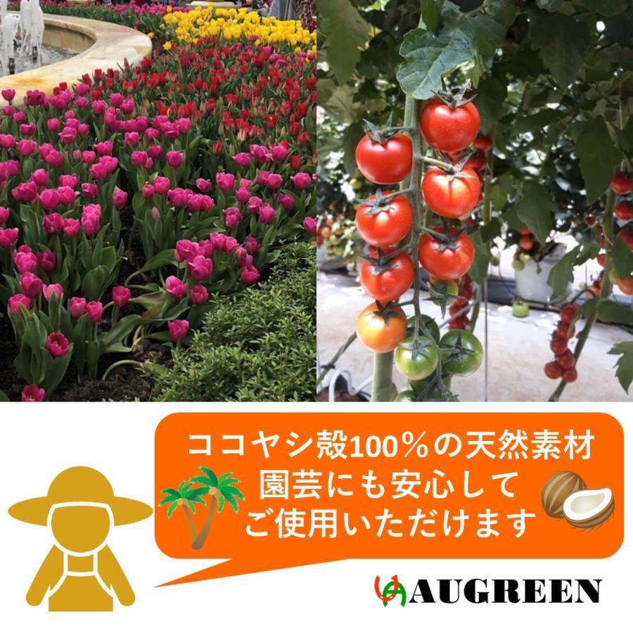 ベトナム産ココピート50リットル 1袋入 （ココナッツピート ココヤシピート ヤシガラピート）除塩済 / 繊維約5% / 水分量40%以下 / EC（塩分濃度）0.5mS/cm以下 |  | 02