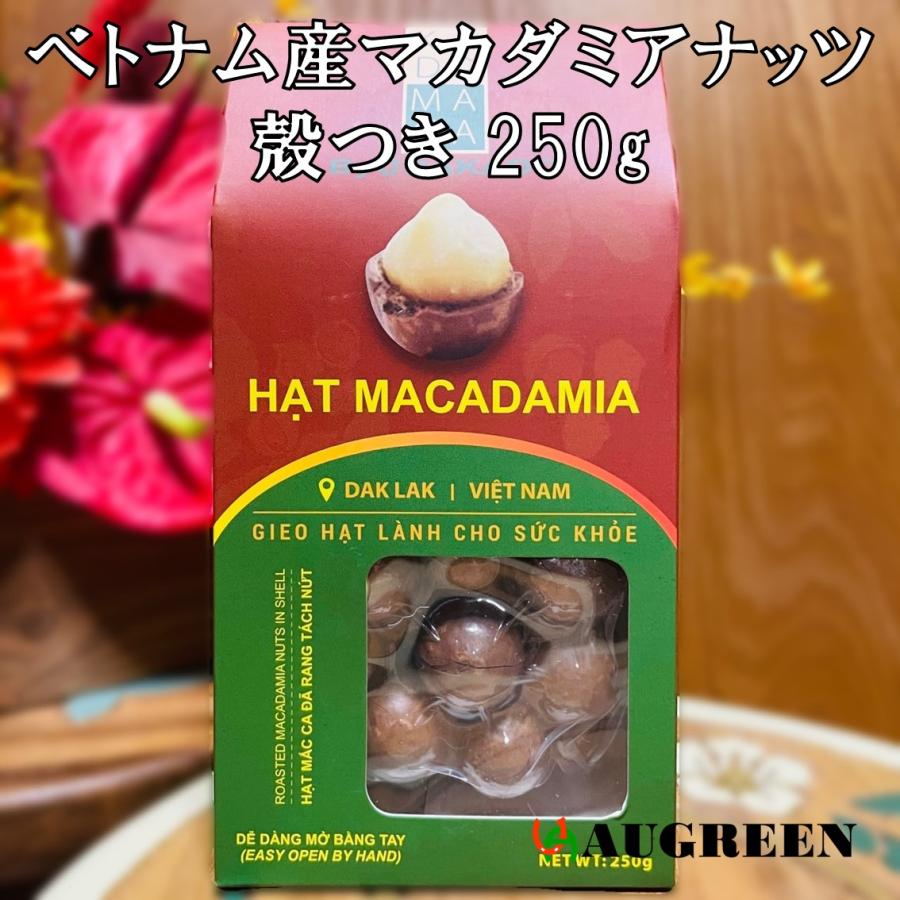 ベトナム産マカダミアナッツ殻つき 250g DAKADO 密閉 マカデミアナッツ 健康 美容 無塩 無添加 殻割器付 お土産 海外旅行 おつまみ おやつ 菓子 おうち時間 | 
