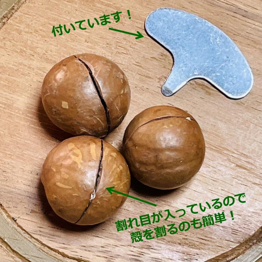 ベトナム産マカダミアナッツ殻つき 250g DAKADO 密閉 マカデミアナッツ 健康 美容 無塩 無添加 殻割器付 お土産 海外旅行 おつまみ おやつ 菓子 おうち時間 |  | 02