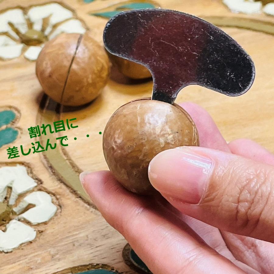 ベトナム産マカダミアナッツ殻つき 250g DAKADO 密閉 マカデミアナッツ 健康 美容 無塩 無添加 殻割器付 お土産 海外旅行 おつまみ おやつ 菓子 おうち時間 |  | 03