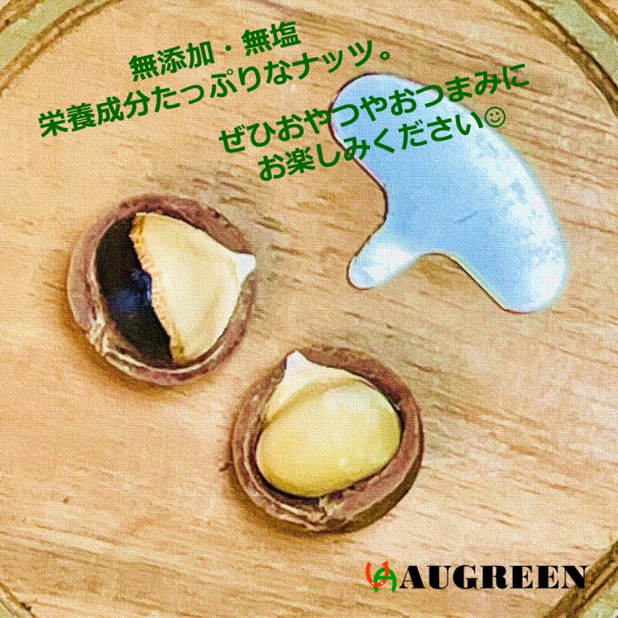 ベトナム産マカダミアナッツ殻つき 250g DAKADO 密閉 マカデミアナッツ 健康 美容 無塩 無添加 殻割器付 お土産 海外旅行 おつまみ おやつ 菓子 おうち時間 |  | 06