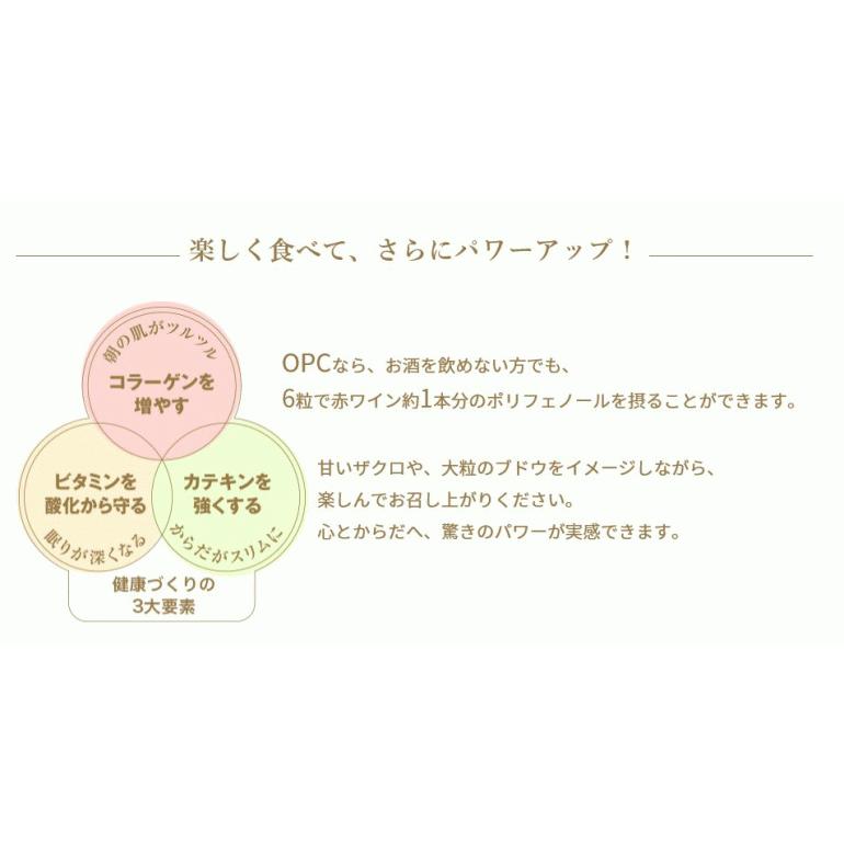 年末のプロモーション大特価！年末のプロモーション大特価！ＯＰＣ