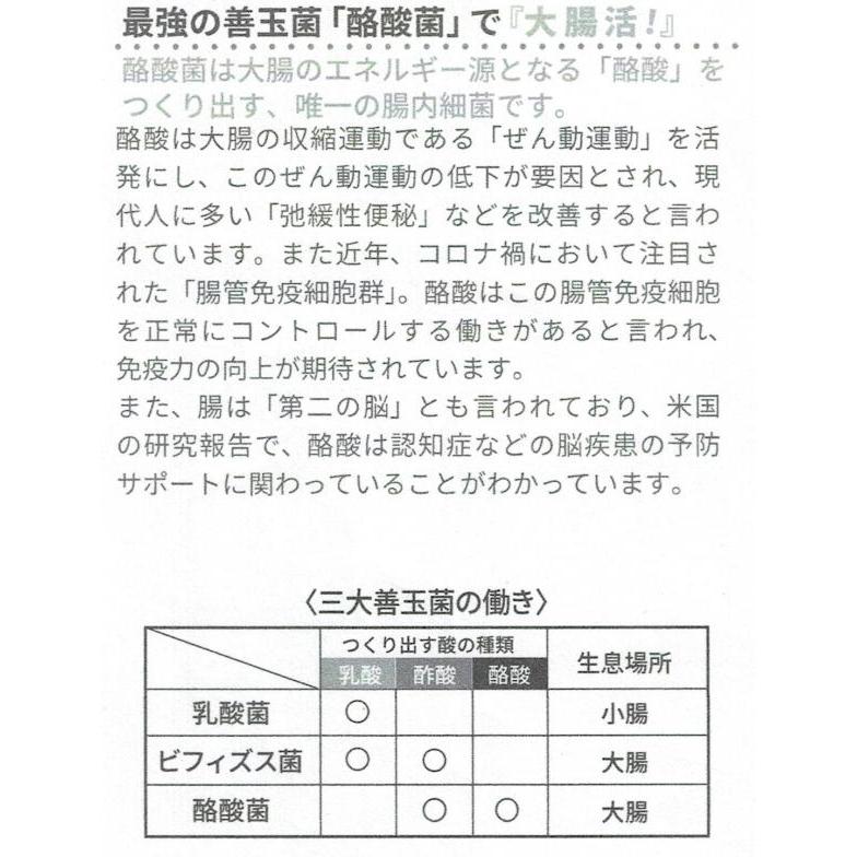 酪酸菌588 60粒x1袋 酪酸菌 乳酸菌 ビフィズス菌 善玉菌 短鎖