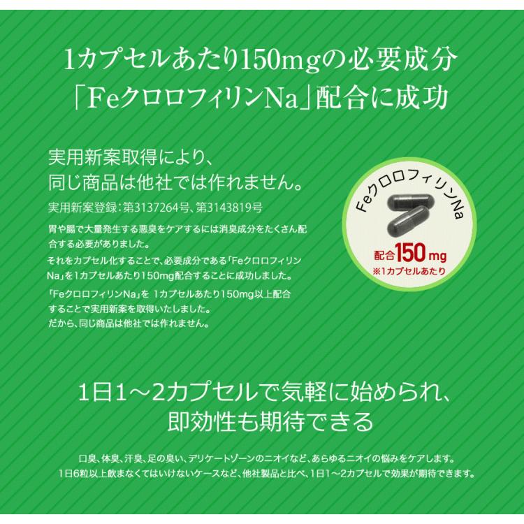 の取扱ショップ一覧 Feクロロフィル5袋 ニオイ対策サプリ 体臭 口臭 加齢臭 足のニオイ　頭皮のニオイ 消臭サプリ ゆうパケット送料無料 健康　