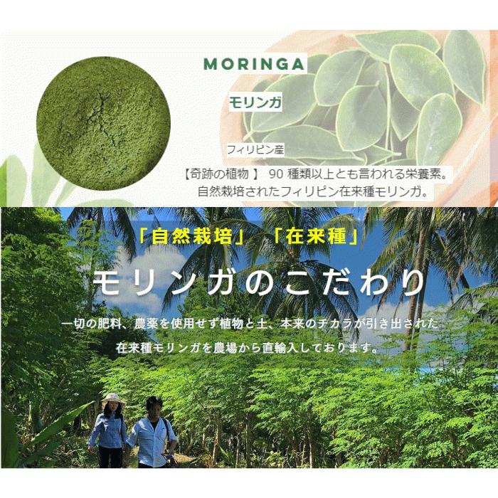 プレミアム モリンガティー 2g x30包 有機JAS認定 モリンガ