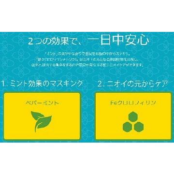 Feクロロミント３袋　ニオイ対策サプリ feクロロフィル　体臭 口臭 加齢臭　足のニオイ　頭皮のニオイ　ミント　ゆうパケット送料無料 健康　 |  | 05