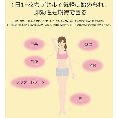 Feクロロミント５袋　ニオイ対策サプリ feクロロフィル　体臭 口臭 加齢臭　足のニオイ　頭皮のニオイ　ミント　ゆうパケット送料無料 健康　 |  | 06