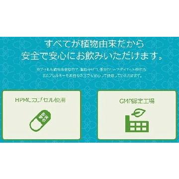 Feクロロミント８袋　ニオイ対策サプリ feクロロフィル　体臭 口臭 加齢臭　足のニオイ　頭皮のニオイ　ミント　クリックポスト送料無料 健康　 |  | 04