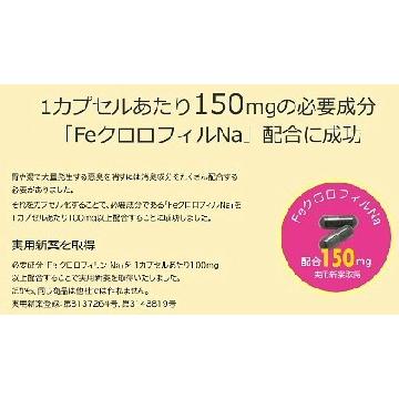 Feクロロミント８袋　ニオイ対策サプリ feクロロフィル　体臭 口臭 加齢臭　足のニオイ　頭皮のニオイ　ミント　クリックポスト送料無料 健康　 |  | 07