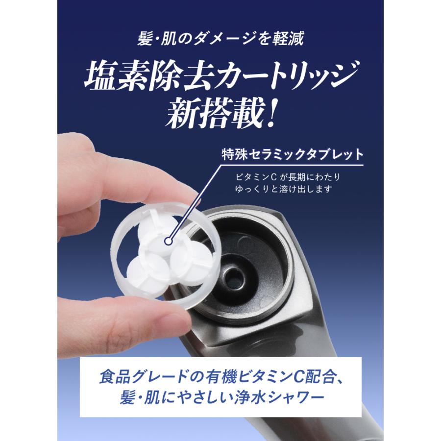 【ピュアブル専用】6個セット 塩素除去カートリッジ 塩素除去 塩素除去 頭皮ケア 保湿 美肌 洗浄 消臭 節水 敏感肌 |  | 01