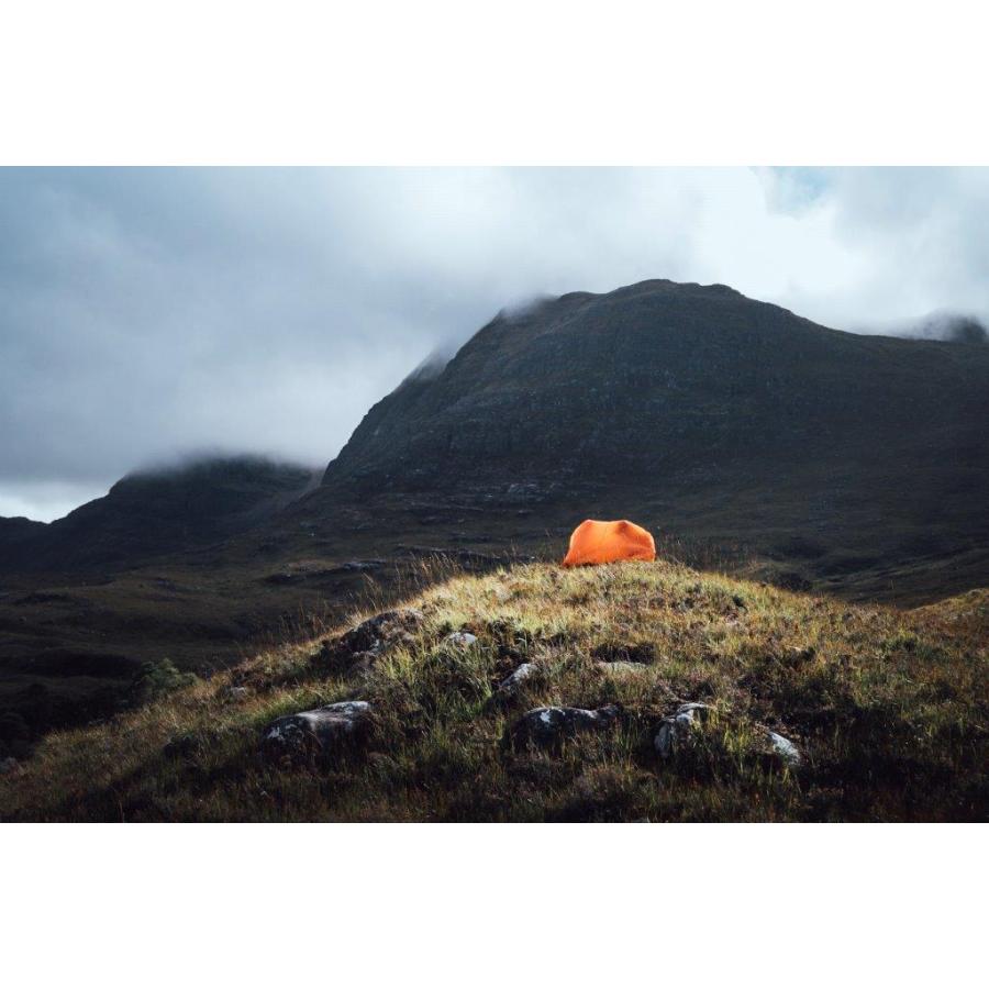 LiFESYSTEMS（ライフシステム） 送料無料【ライフシステム LiFESYSTEMS