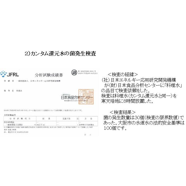 イオンミスト　カンタム還元水生成器　250mlボトル　ミスト遮光ボトルプレゼント実施中 