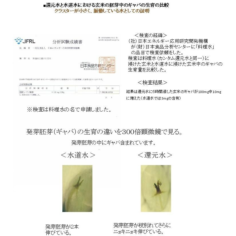 イオンミスト　カンタム還元水生成器　250mlボトル　ミスト遮光ボトルプレゼント実施中 