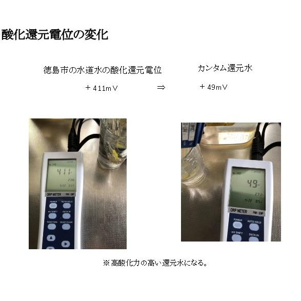イオンミスト　カンタム還元水生成器　250mlボトル　ミスト遮光ボトルプレゼント実施中 