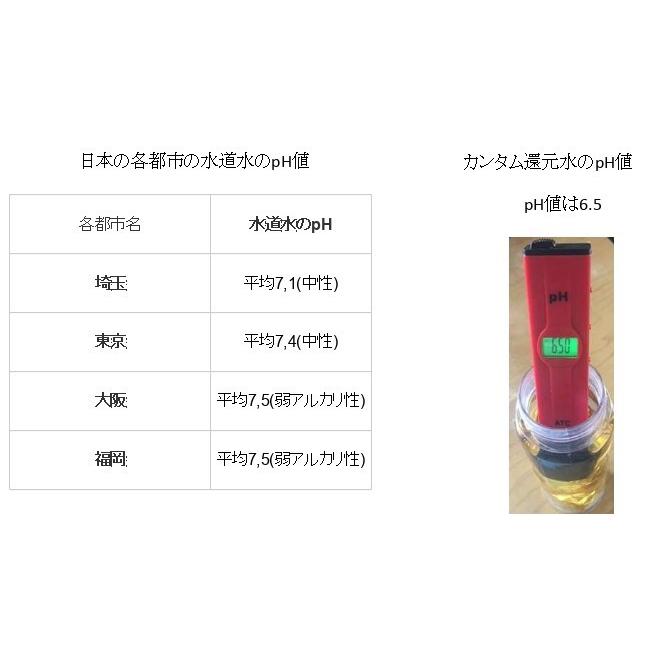 イオンミスト カンタム還元水生成器 250mlボトル ミスト遮光ボトル