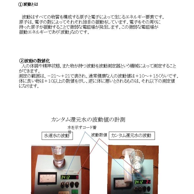 イオンミスト　カンタム還元水生成器　250mlボトル　ミスト遮光ボトルプレゼント実施中 