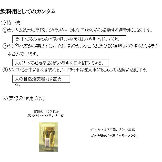 イオンミスト　カンタム還元水生成器　250mlボトル　ミスト遮光ボトルプレゼント実施中 