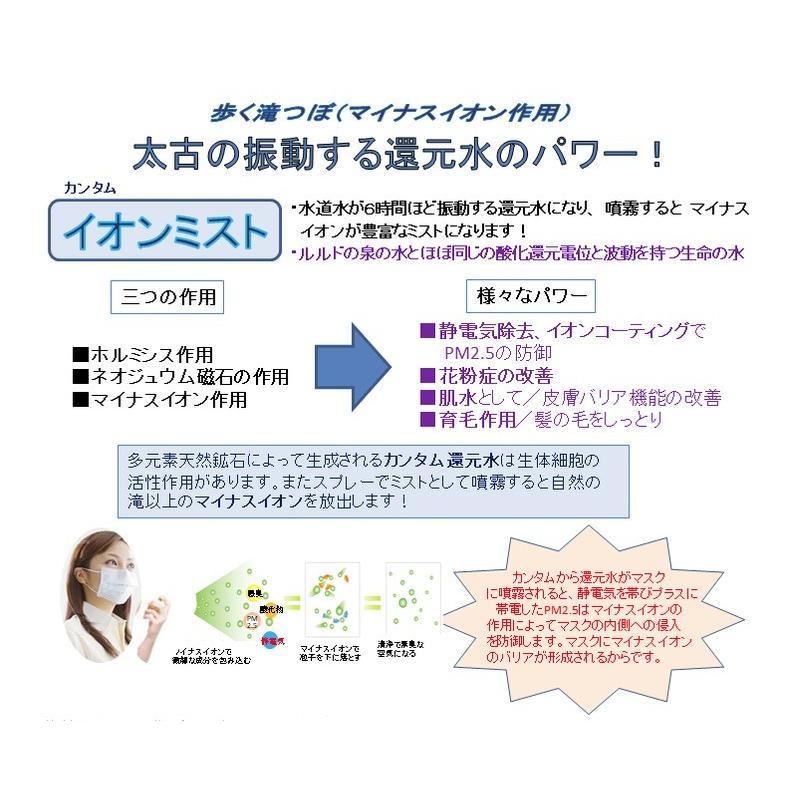 イオンミスト　カンタム還元水生成器　250mlボトル　ミスト遮光ボトルプレゼント実施中 