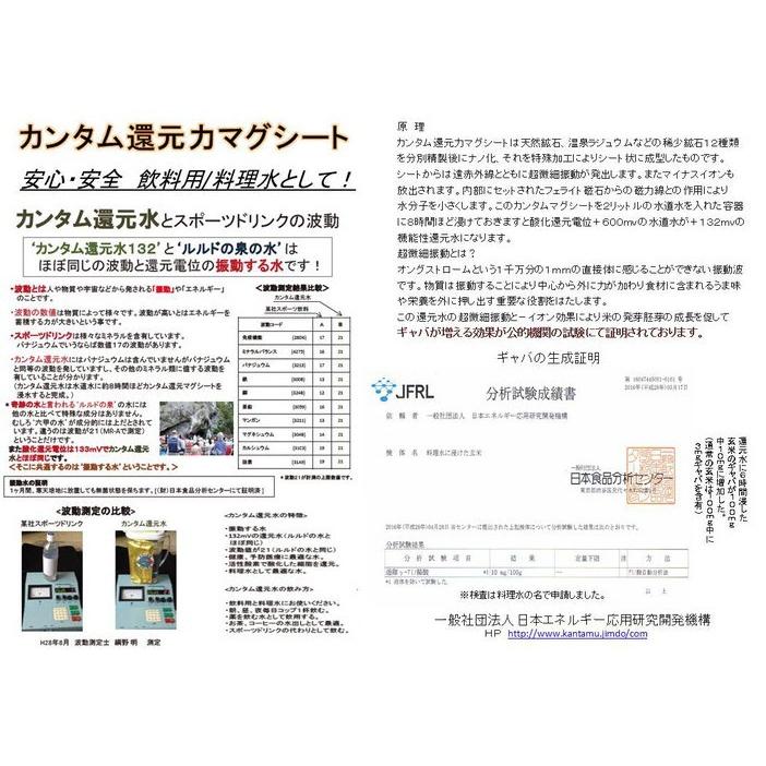 イオンミスト　カンタム還元水生成器　250mlボトル　ミスト遮光ボトルプレゼント実施中 