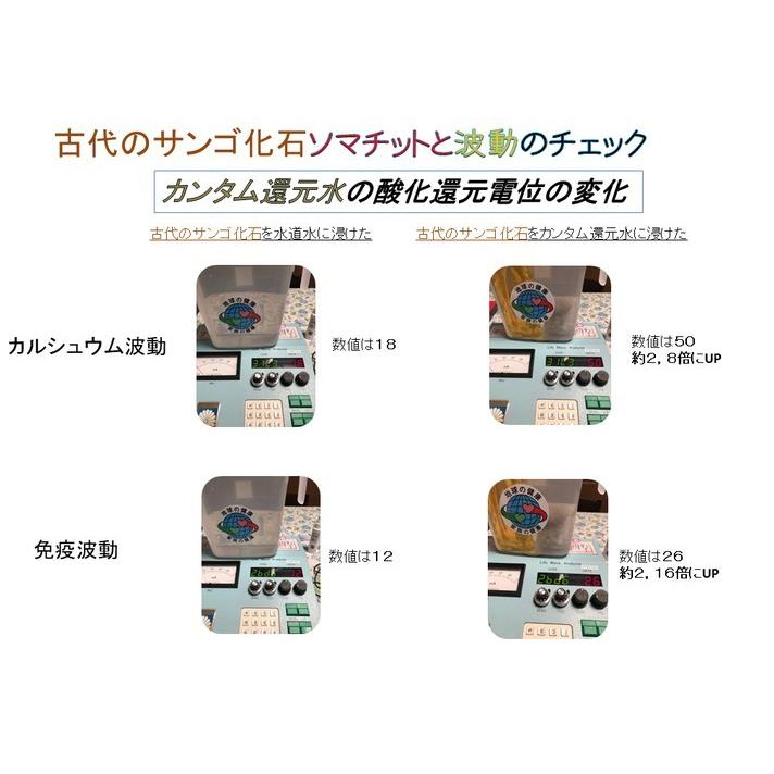 イオンミスト カンタム還元水生成器 250mlボトル ミスト遮光ボトル