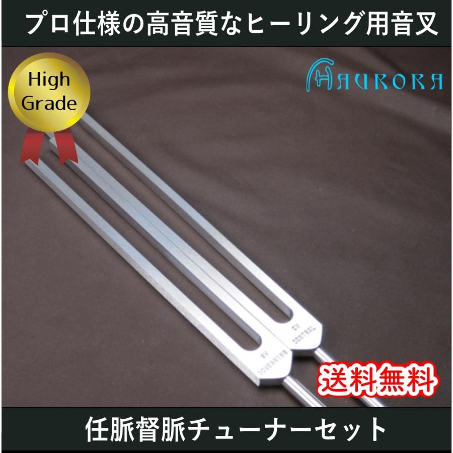 音叉期間限定臓器セット1+2セット-fuckthisindustry punkandyo ec