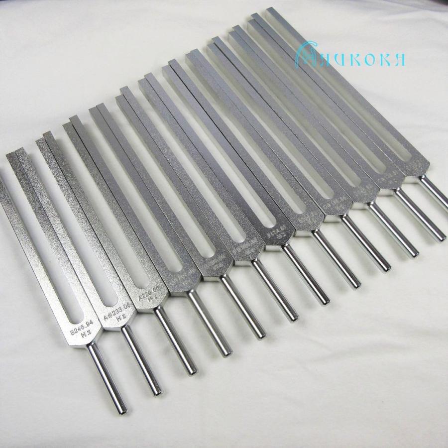 コッス楽器 音叉 平均律12本組 コッス楽器 音叉 平均律12本組 楽器・機材