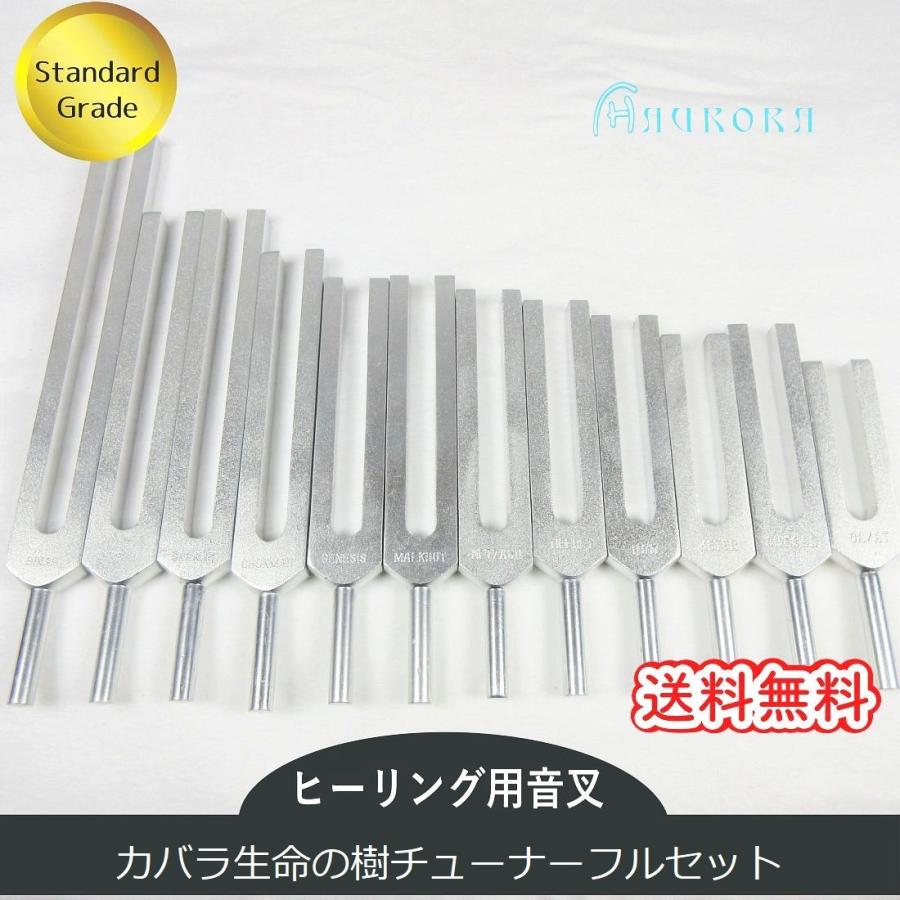 音叉 12本セット 【公式通販】