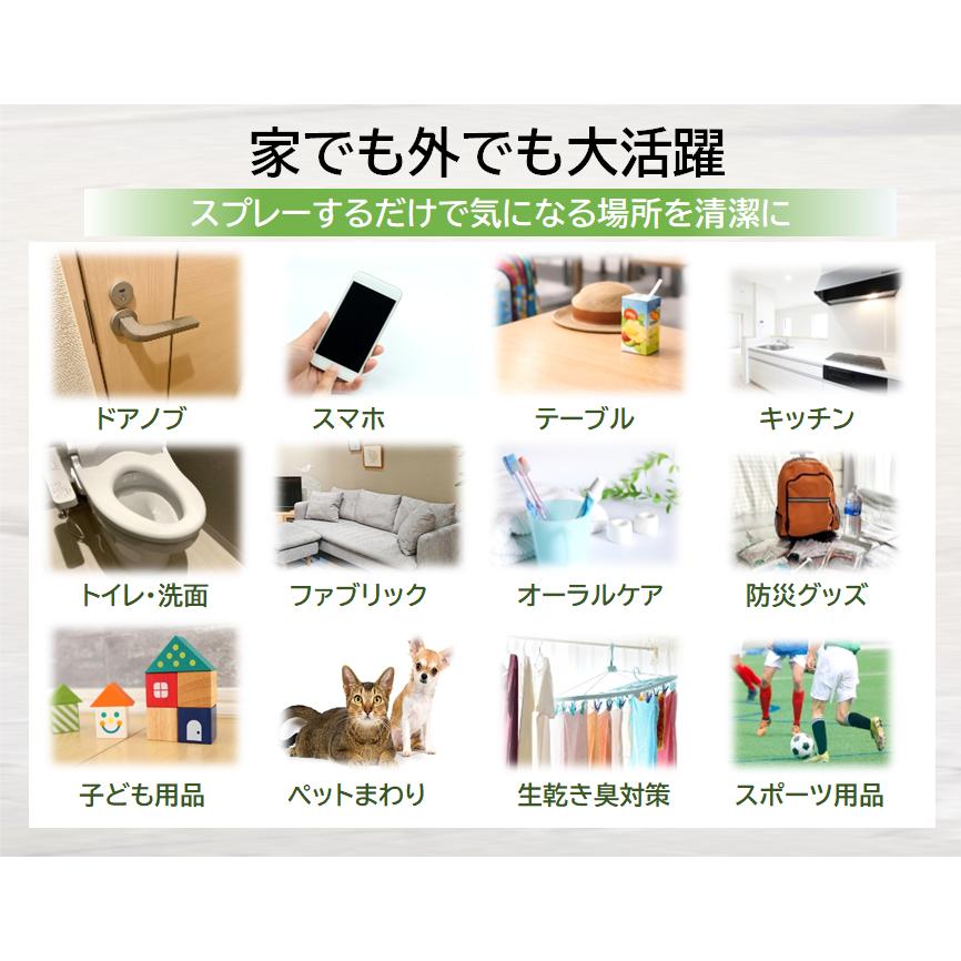 父の日 安心を贈る AUSIRO miniplus ギフトセット ナノカム 生活臭 除菌スプレー 体臭予防 プレゼント 環境にやさしい ラベンダーの香り |  | 11