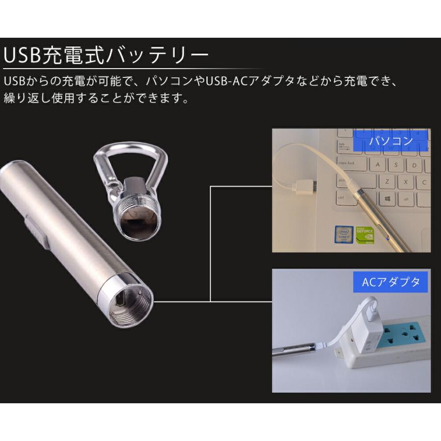 LEDペンライト USB充電式 コンパクト LED 高輝度 軽量 ステンレス