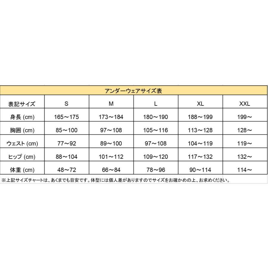 sabelt サベルト アンダーウェア UI-100 トップ FIA公認 4輪 走行会の画像