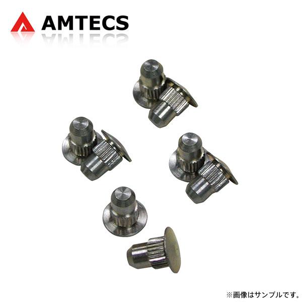 AMTECS アムテックス SPC 86325 交換用アライメントピン 8個入 フロント用 キャデラック エスカレード 2002〜2006 RWD/4WD ESV/EXT