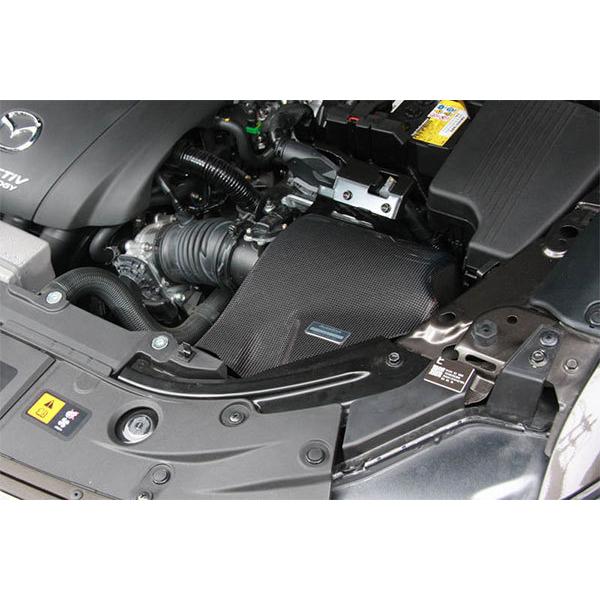 オートエクゼ AutoExe ラムエアインテークシステム アクセラ