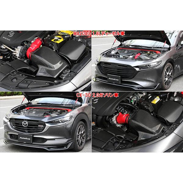 オートエクゼ AutoExe ラムエアインテークシステム CX-30 DMEJ3P 