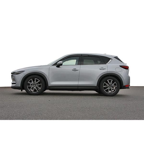 オートエクゼ AutoExe ローダウンスプリング CX-8 KG5P H29.12〜R6.1