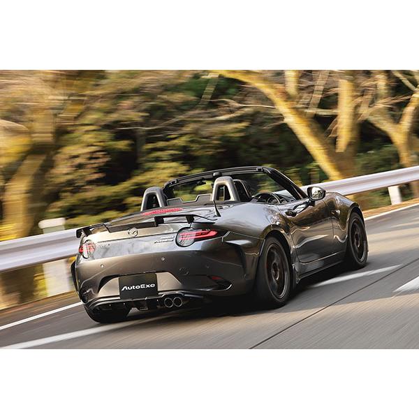 オートエクゼ AutoExe ND-07S サイドストレーキ ロードスターRF NDERE