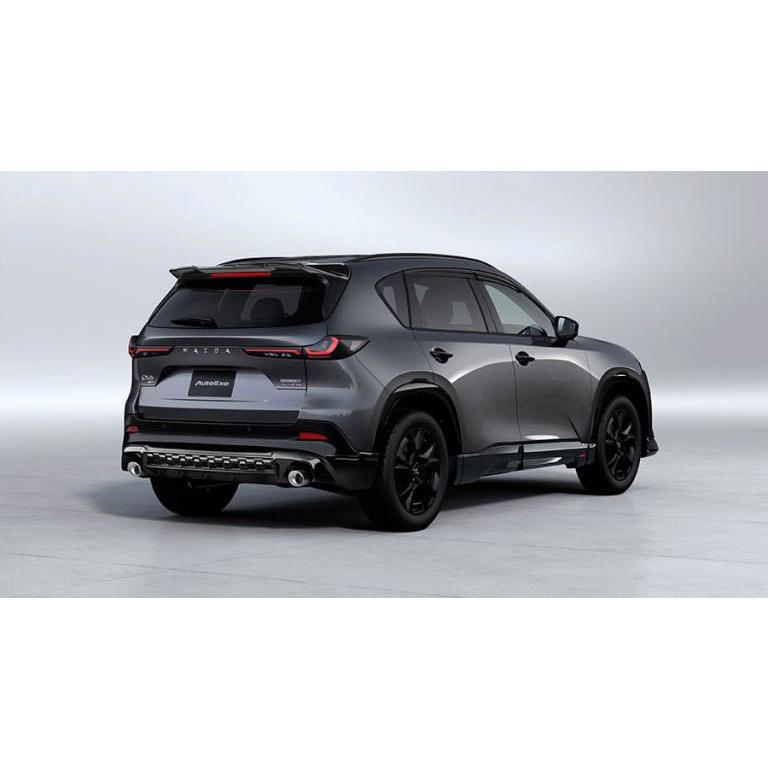 オートエクゼ AutoExe KM-07 リアルーフスポイラー CX-5 KMYSDP ※個人