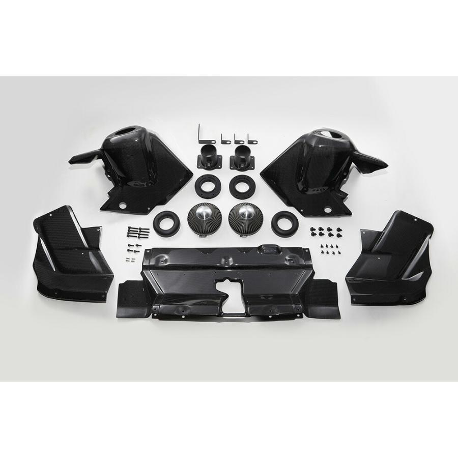 BLITZ（ブリッツ） カーボンインテークシステム ランドクルーザー