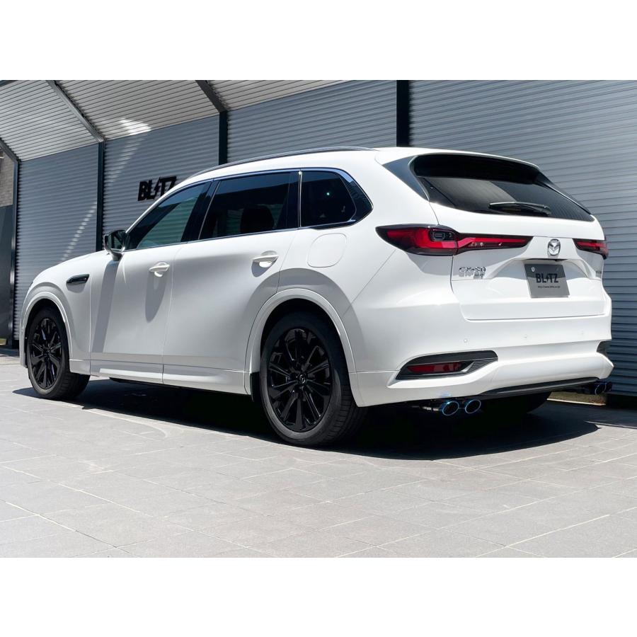 BLITZ（ブリッツ） マフラー ニュルスペック カスタムエディションVSR