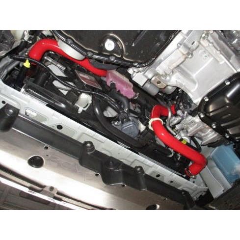 BLITZ ブリッツ レーシングラジエターホースキット レッド C-HR