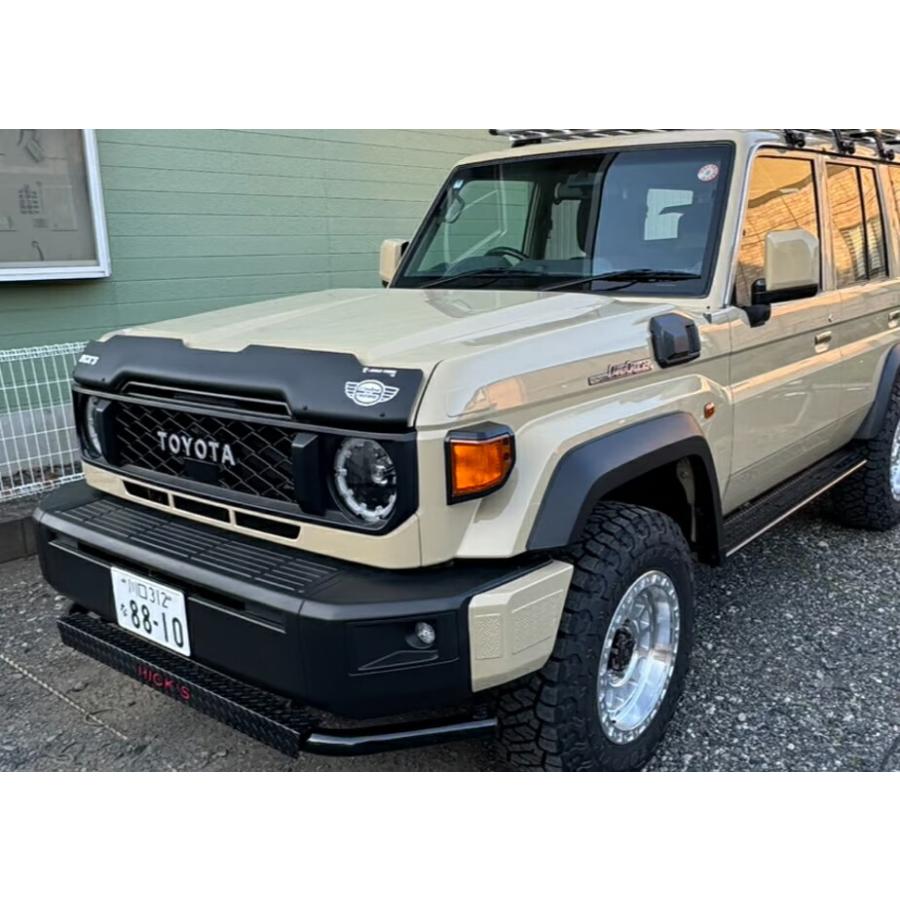 リミテッドチトセ RICK'S アシストミラーホールカバー(純正塗装+ゲル