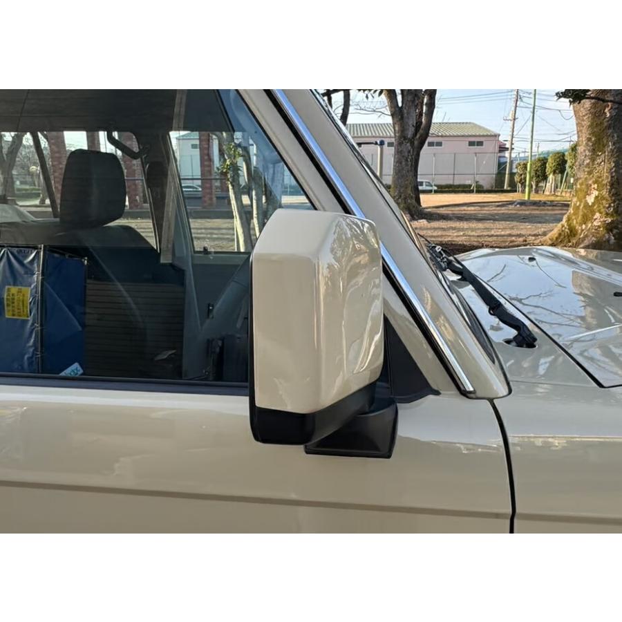 リミテッドチトセ RICK'S カラードミラーカバー 左右セット スーパー