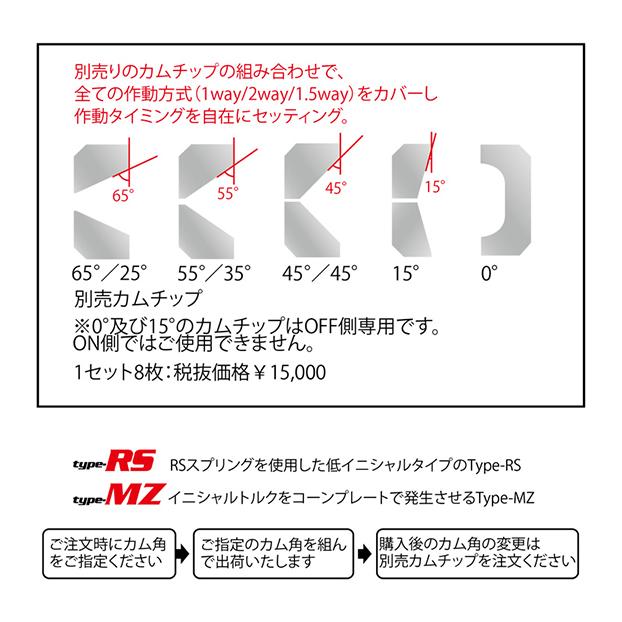 CUSCO クスコ プロ・アジャストLSD タイプRS 初期設定1way、1.5way