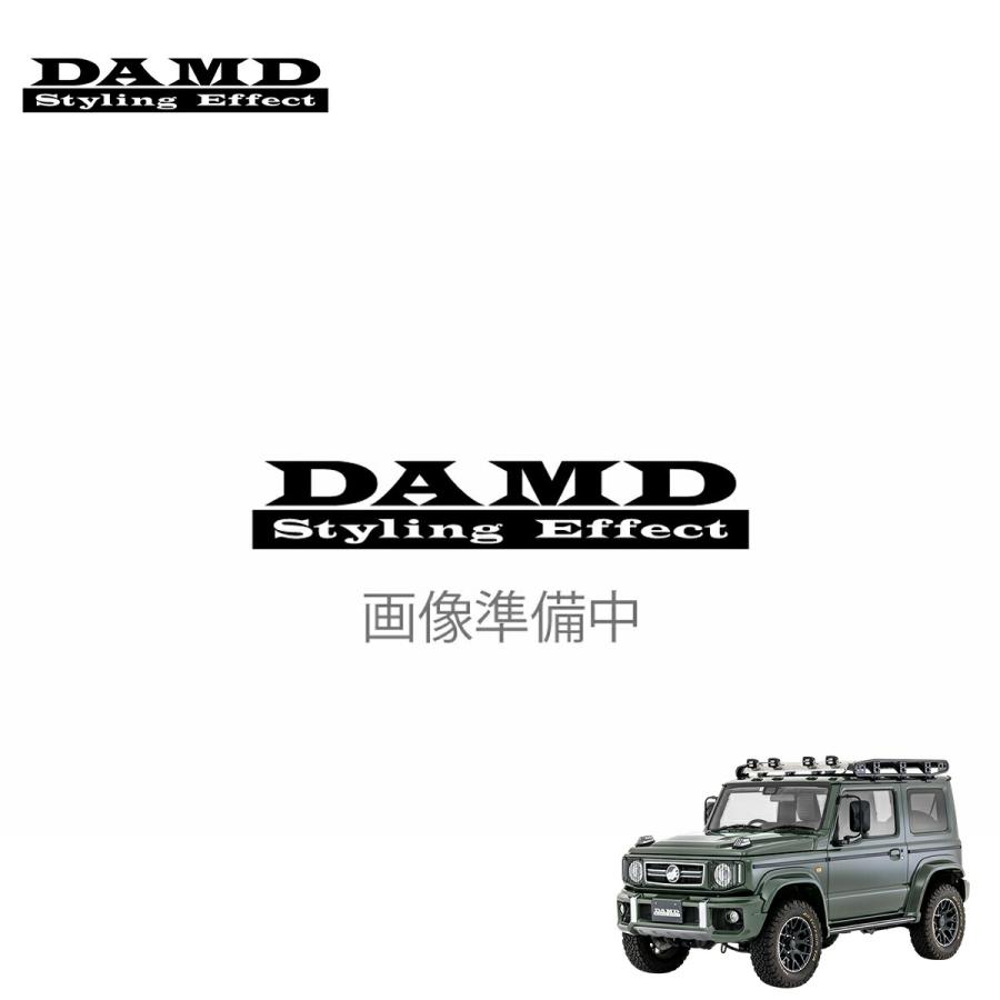 DAMD ダムド SIERRA little G. AVENTURA フロントカメラ＆モニター