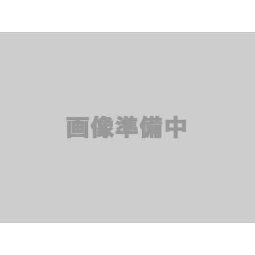DIXCEL ディクセル 輸入車用 【激安】 ウェアセンサー 1372-L0642 ブレーキパッド メール便無料