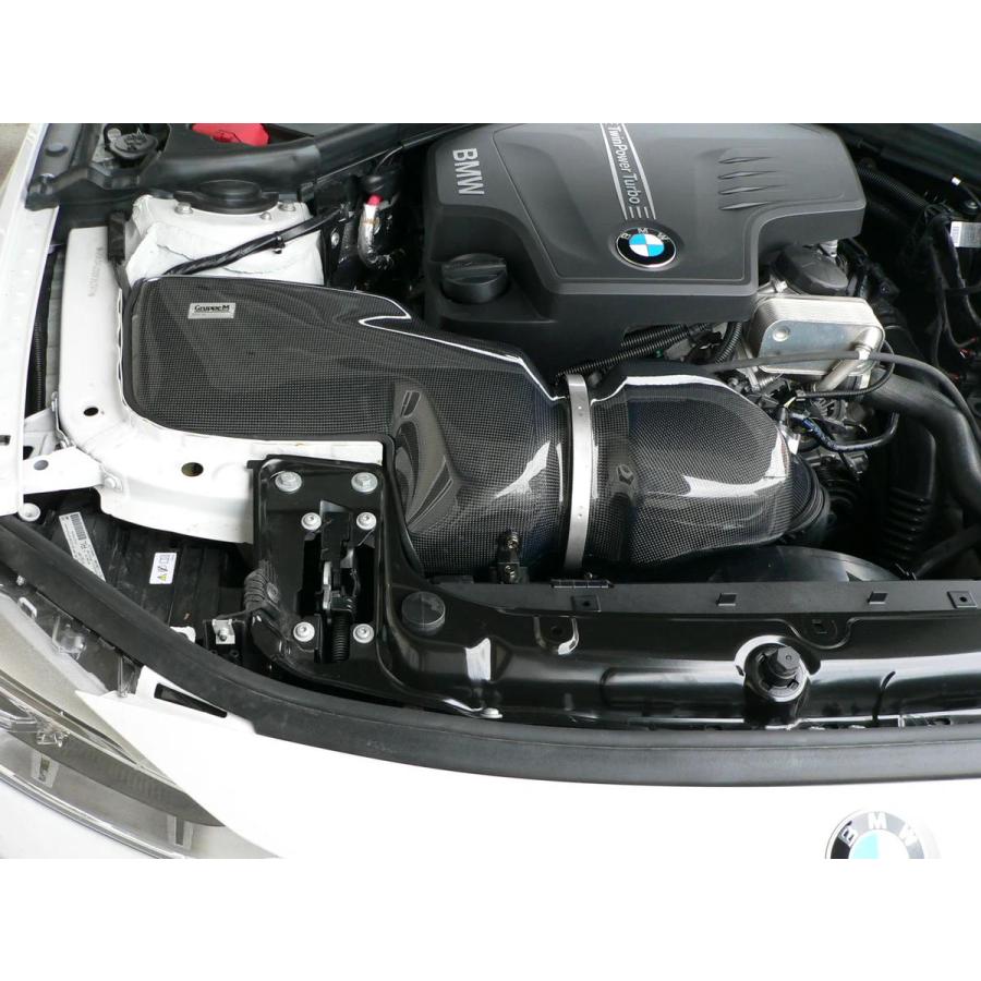 GruppeM（グループエム） ラムエアシステム BMW 4シリーズ F32/F33/F36 