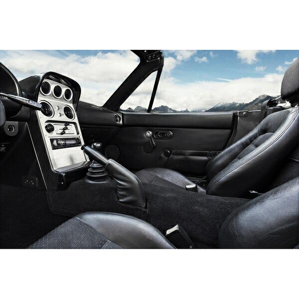 Jass Performance ジャスパフォーマンス センターパネル