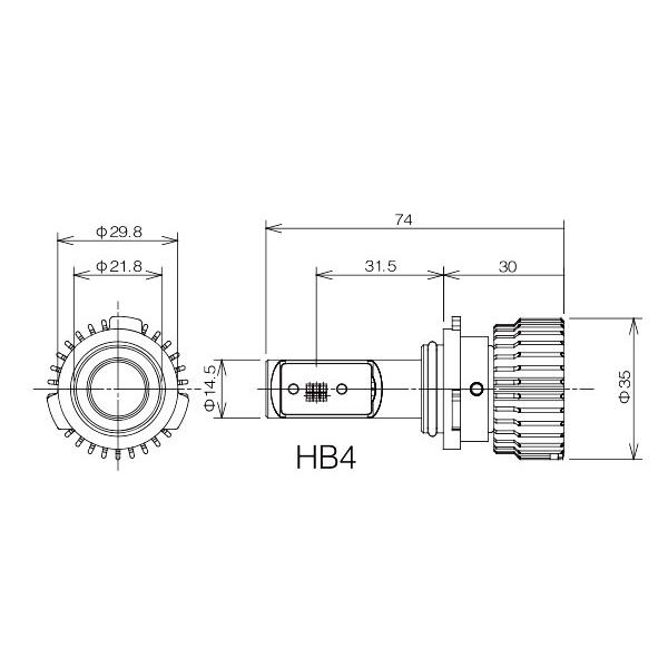 RG レーシングギア パワーLEDフォグバルブ HB4 6500K/2800K ツイン 