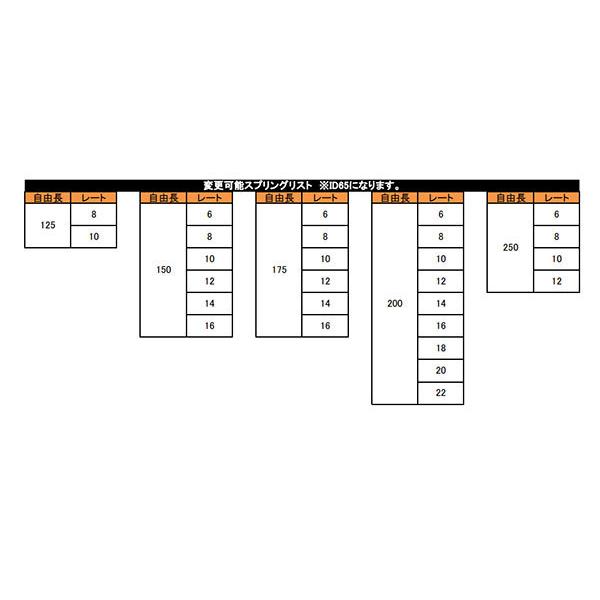 RACING GEAR（レーシングギア） RG 車高調 HSダンパー ドリフト専用