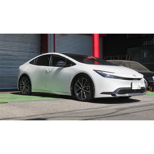 RACING GEAR（レーシングギア） RG 車高調 タイプワゴンNM 複筒式 減衰